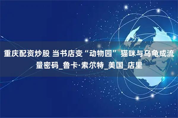 重庆配资炒股 当书店变“动物园” 猫咪与乌龟成流量密码_鲁卡·索尔特_美国_店里