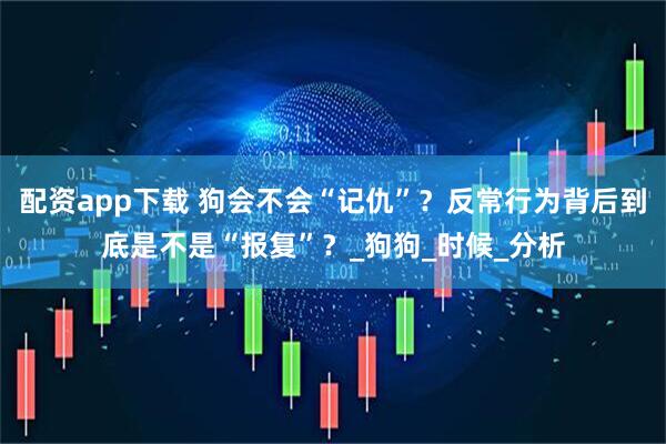 配资app下载 狗会不会“记仇”？反常行为背后到底是不是“报复”？_狗狗_时候_分析