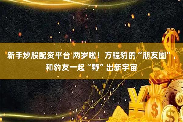新手炒股配资平台 两岁啦！方程豹的“朋友圈”，和豹友一起“野”出新宇宙